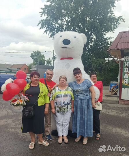 Медведь на день рождения