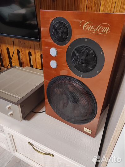 Колонки Victor sx 7 II custom