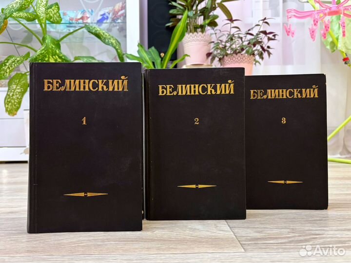 Белинский люди русской науки