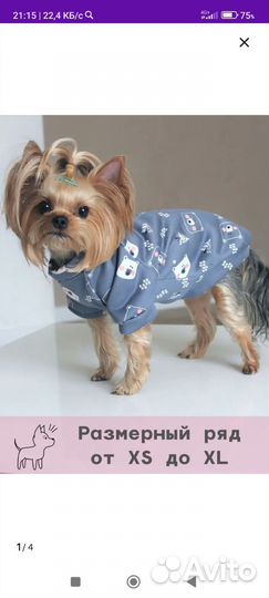 Одежда для собак мелких пород