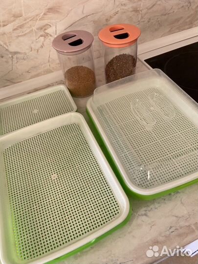 Лотки для микрозелени