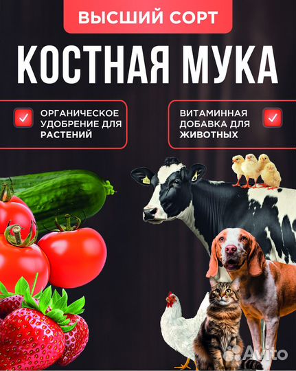 Мясокостная мука