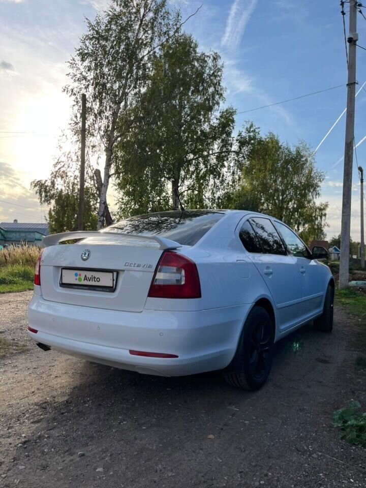 Skoda Octavia: фото владельца