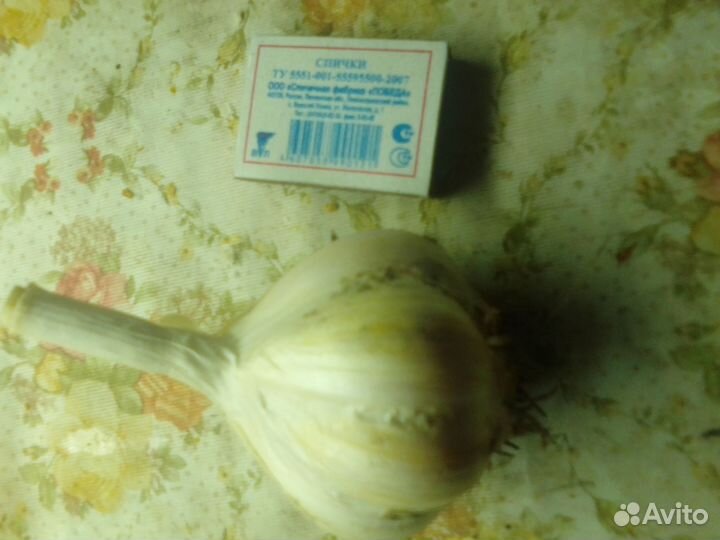 С/животные, продукты питания