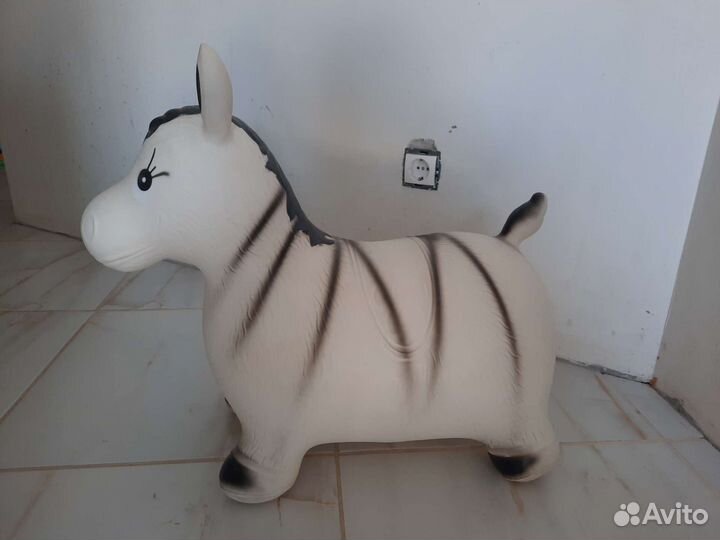 Прыгун Зебра