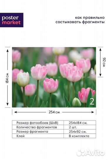 Новые Фотообои с тюльпанами