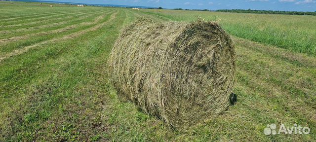 Сено.Солома в рулонах объявление продам