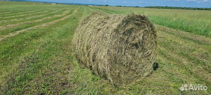 Сено.Солома в рулонах