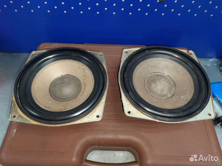 Динамики нч 20см