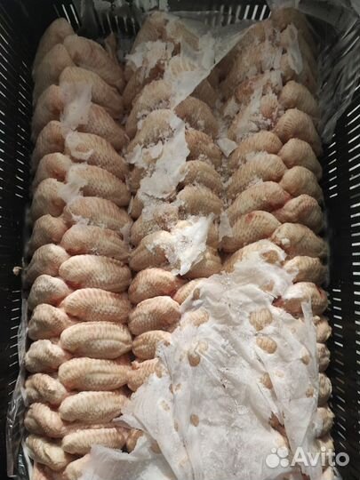 Мясо для шаурмы, филе грудки, крылья, гриль