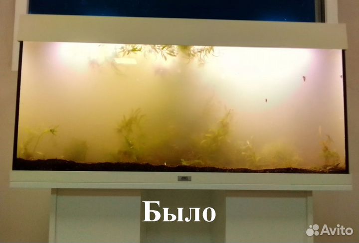 Аквариум. Если у вас так, это ко мне. Гарантия