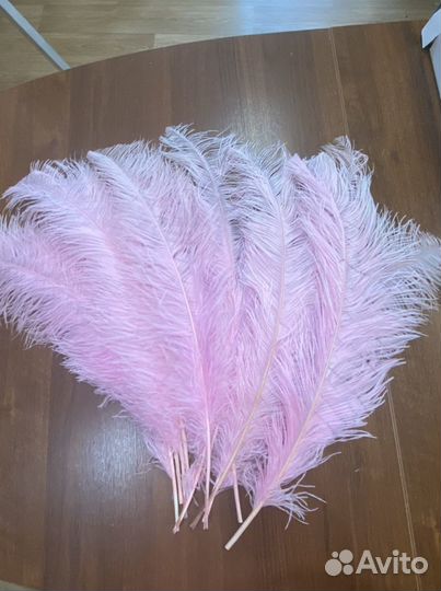 Страусиные перья