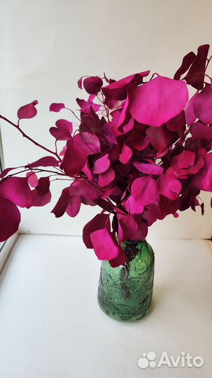 Эвкалипт крашеный декор для дома