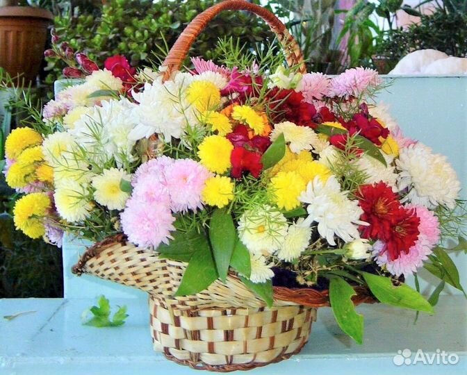 Хризантемы в коробке букете корзине