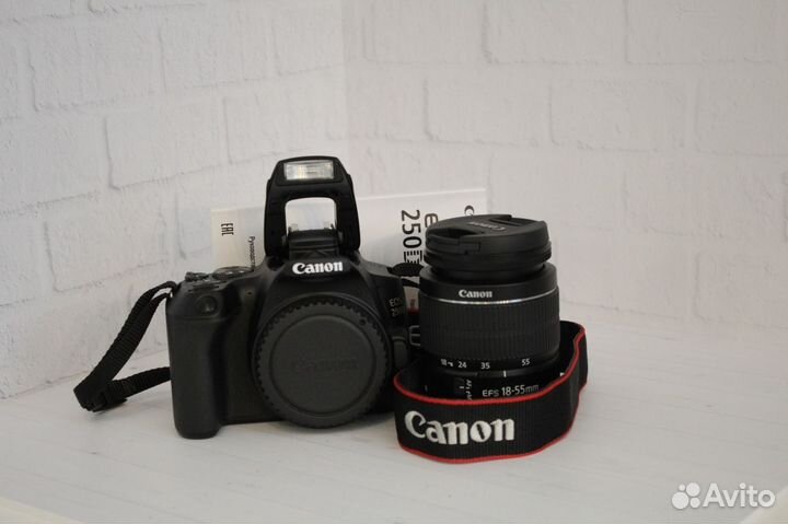 Зеркальный фотоаппарат canon 250d