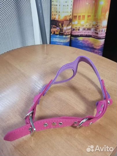 Шлейка для маленькой собаки