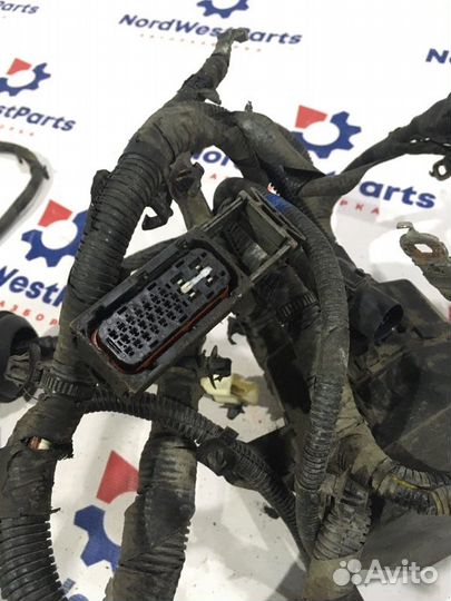 Проводка (коса) Kia Picanto хэтчбек 1.1 MD85