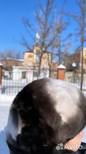 Шапка норковая