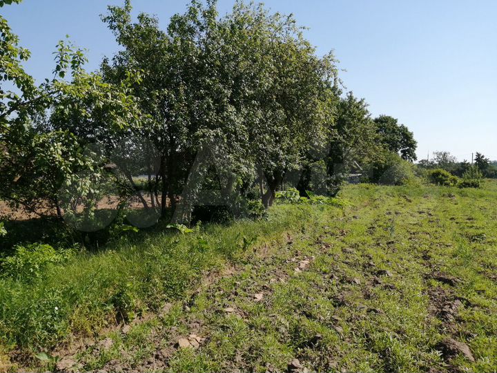 Участок 10,8 сот. (СНТ, ДНП)