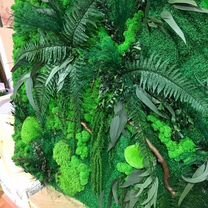 Панно из растений и мха без ухода