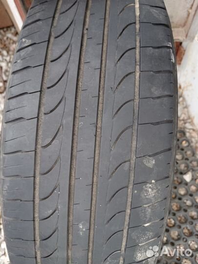 Accelera 651 195/65 R15 19B