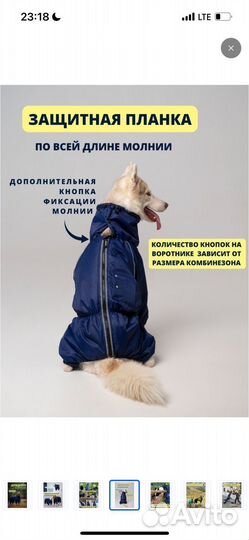 Комбинезон-дождевик для собаки