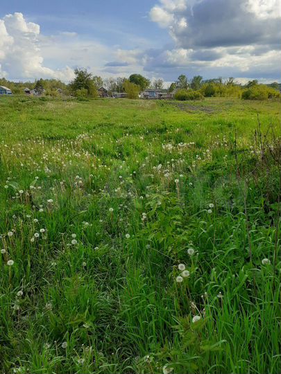 Участок 23 сот. (СНТ, ДНП)