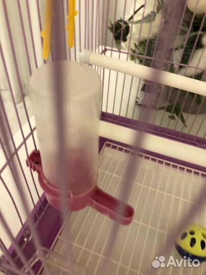 Клетка для попугая
