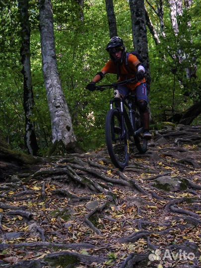 Polygon xtrada 6 2022