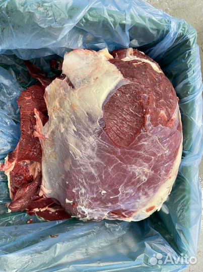 Мясо говядина