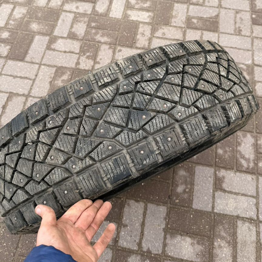 predator - Авито | Объявления во всех регионах: купить вещь