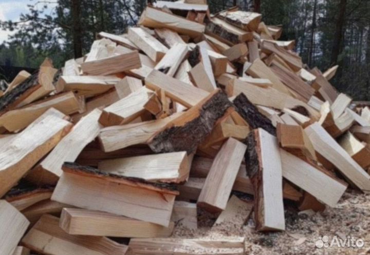Дрова береза