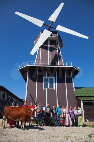 Участок 27 га (СНТ, ДНП)