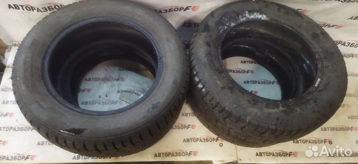 Pirelli P Zero 195/65 R15 95