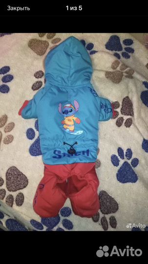 Одежда для собак зимняя