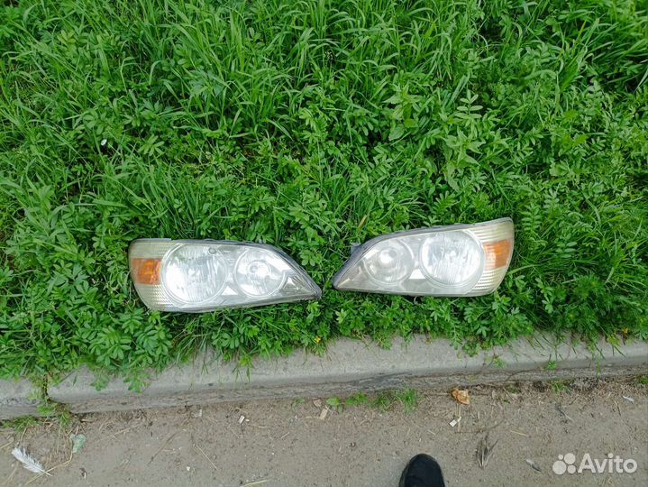 Оптика передняя