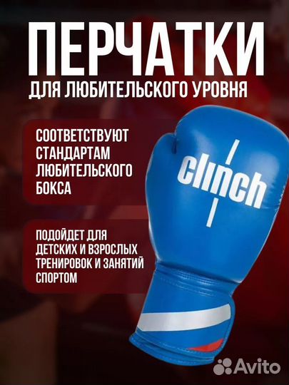 Боксерские перчатки 10 oz 12 oz