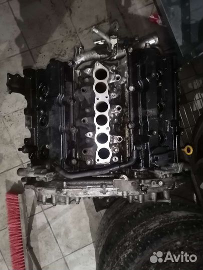 Двигатель Nissan teana j31