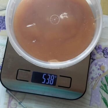Мед гречишный