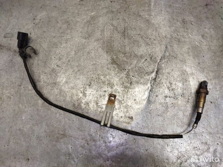 Датчик кислородный Ford Focus 3 хэтчбек 2.0