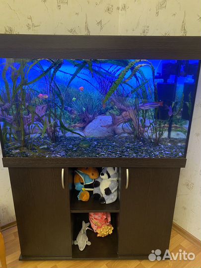 Аквариум с тумбой 300 литров
