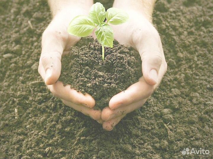 Чернозем для огорода с доставкой. арт:П - 93*2