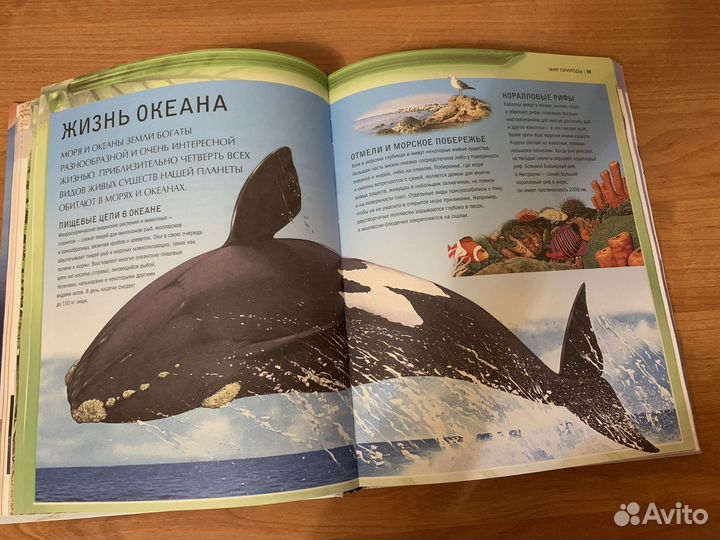 Детская энциклопедия