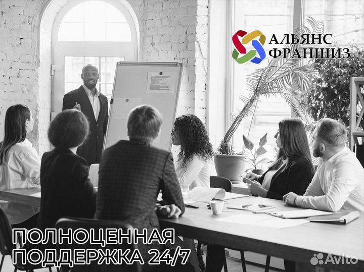 Профессиональное руководство от Альянса Франшиз