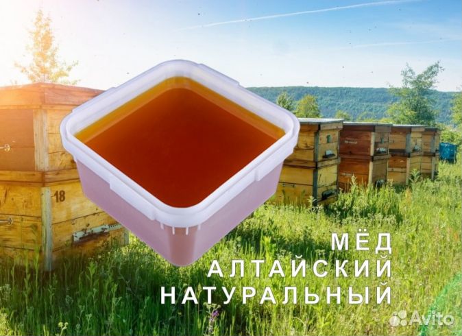 Мёд натуральный из Алтая опт