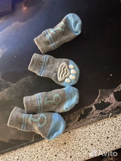 Носки для собак s