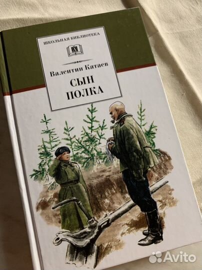 Книга «Сын полка»