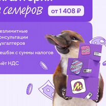 Бухгалтерия для Селлеров Ozon, WB и Я.Маркет, Чита