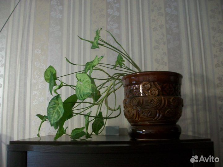 Горшок цветочный керамический