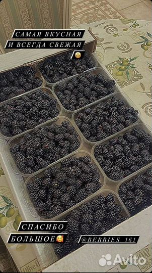 Ежевика и малина